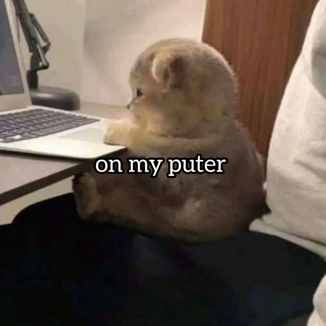 Me On My Puter